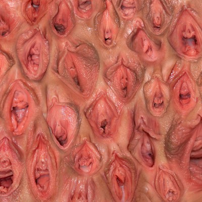 wallofvagina