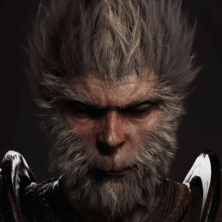 wukong500's avatar