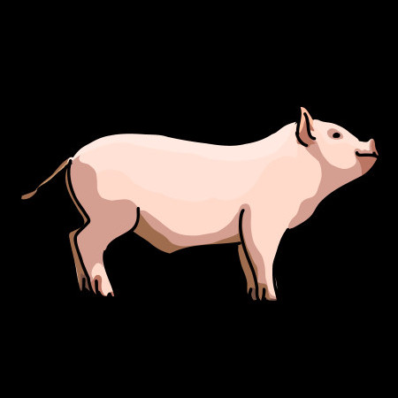 running_pork_'s avatar